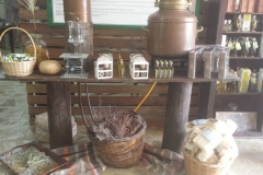 10003347_441794202632658_7745878823555672236_n