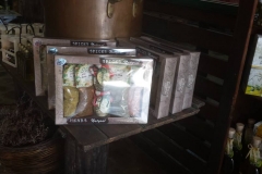 10007023_441794169299328_6488811784596473391_n