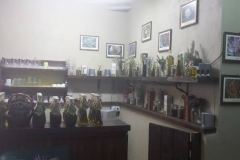 10151923_441793982632680_919676123950006784_n