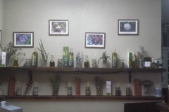 10245443_441793979299347_6706432267104355495_n