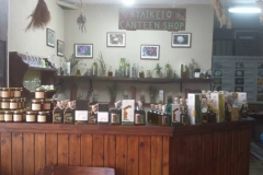 10253814_441793985966013_4197713143019180311_n